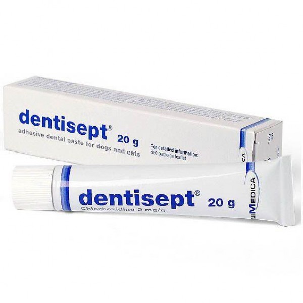 Dentisept gél 20 gr